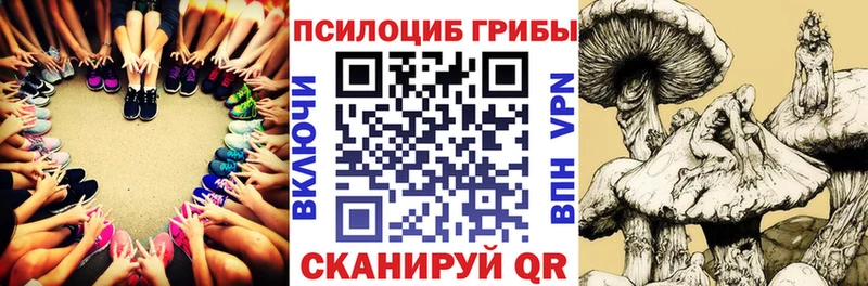 Галлюциногенные грибы Magic Shrooms  Королёв 